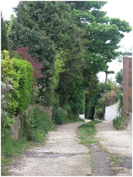Alley down to Cliff 