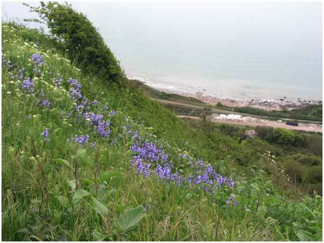 View down to Warren