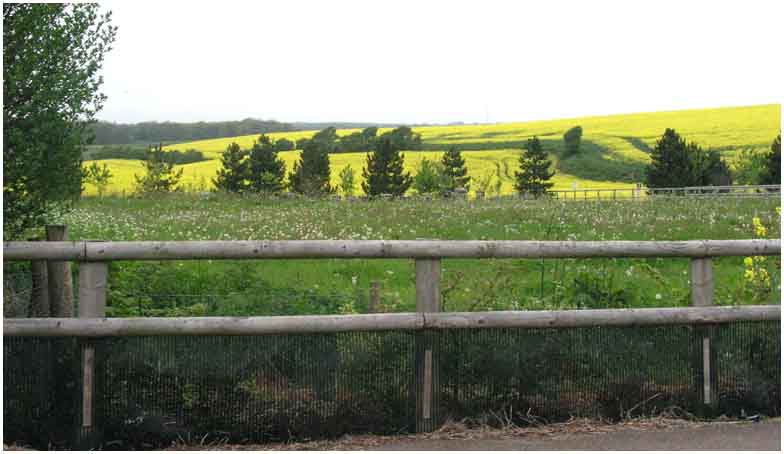 View from Dover Road
