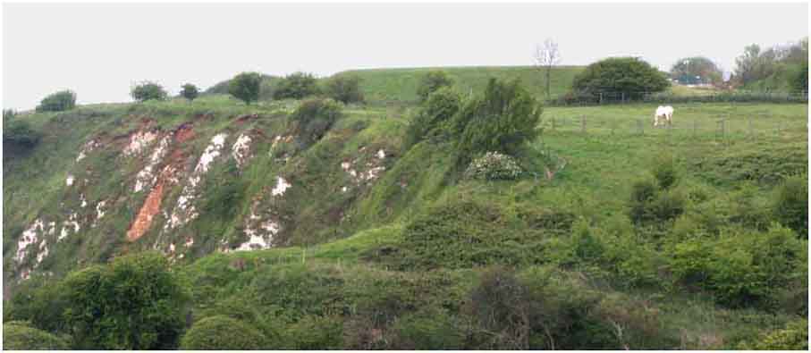 Cliff top grazing