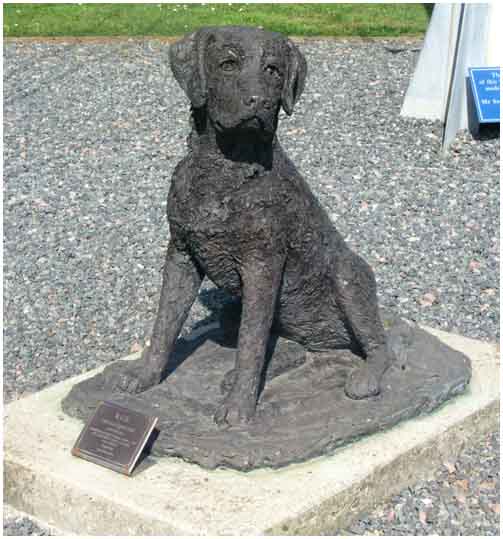 Bob, the Squadrons mascot
