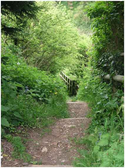 Steps down cliff
