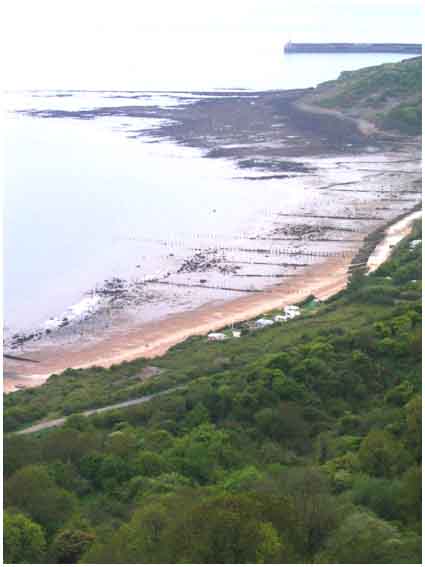 View of Warren