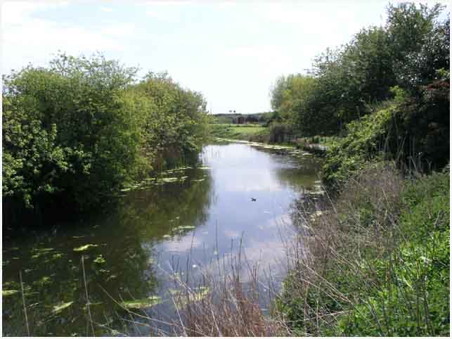 Marshland Drainage Sewer