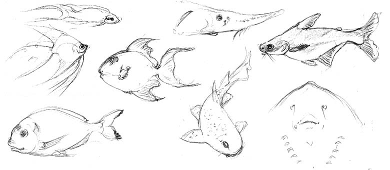 London Aquarium