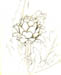 Artichoke