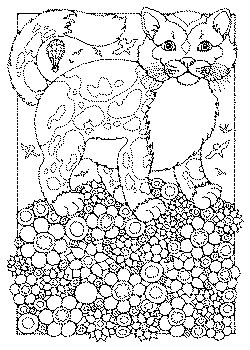 Cat on Hill of Flowers