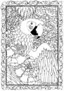 macaw