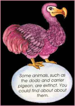 dodo egg