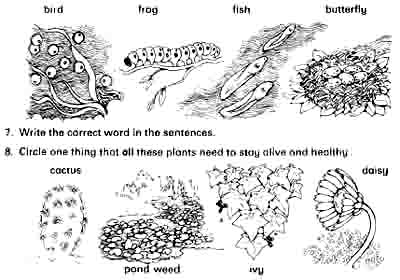 Life test page