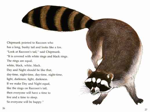 racoon