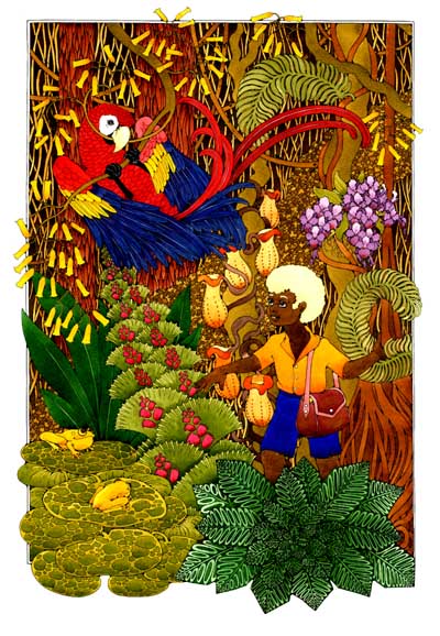 macaw, forest and boy