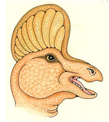 Corythosaurus