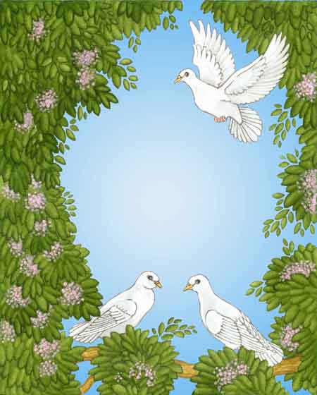 white doves