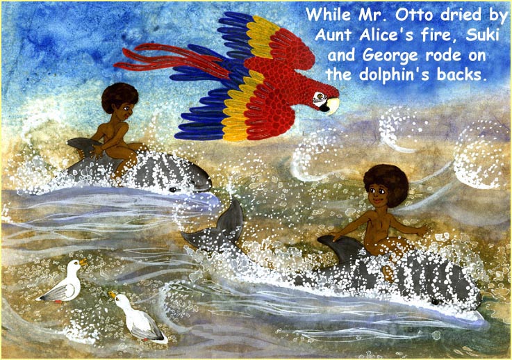 Ride a wild dolphin