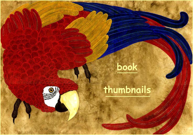 Snabberpuss, the red macaw