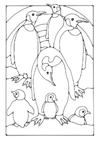 penguins