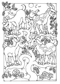 tree goats