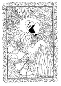 Macaw