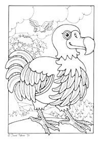 dodo